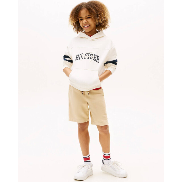 Tommy Hilfiger Sweat kb0kb09742 Tommy Hilfiger Hoodie KB0KB09742 large