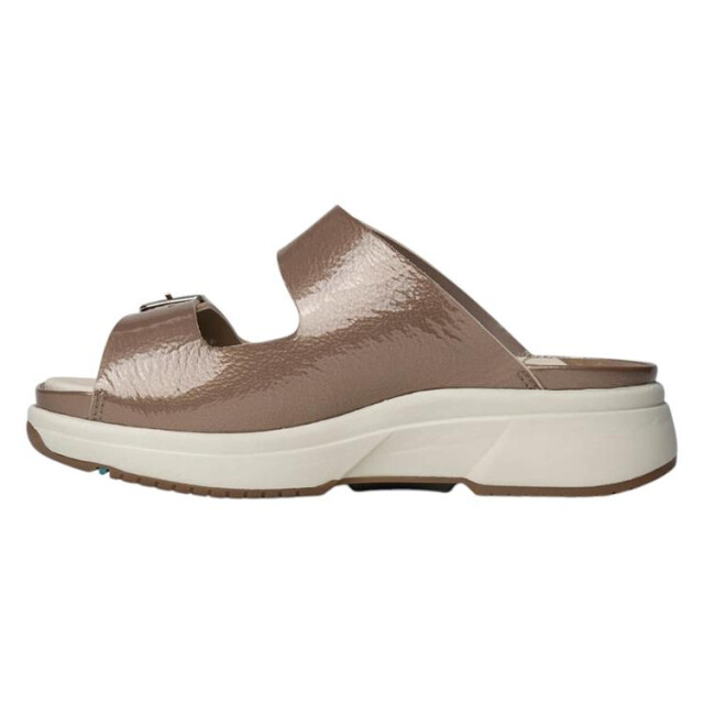 Xsensible 30707.5 Slippers Bruin 30707.5 large