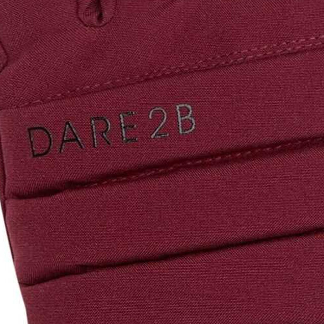 Dare2b Dames charisma iii logo skihandschoenen UTRG11029_fig large