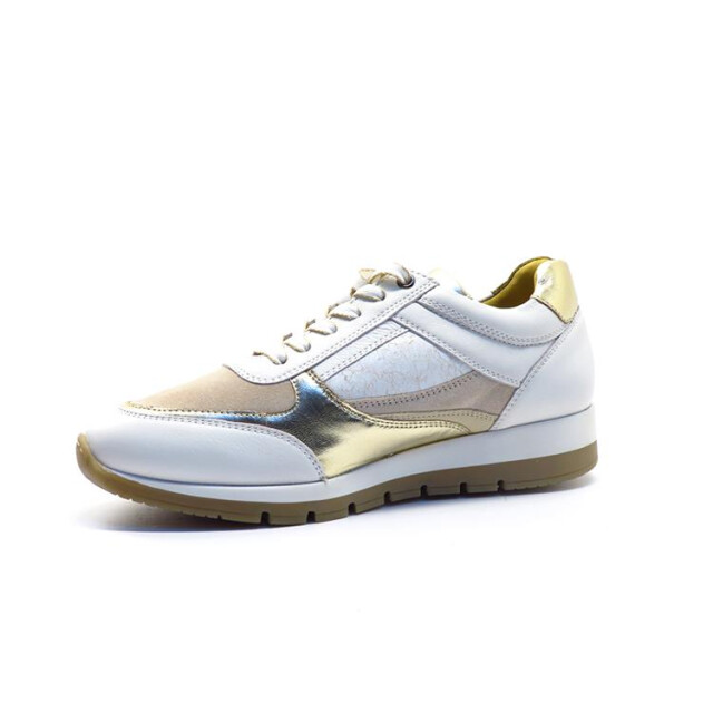 Helioform 249.005 249.005 large