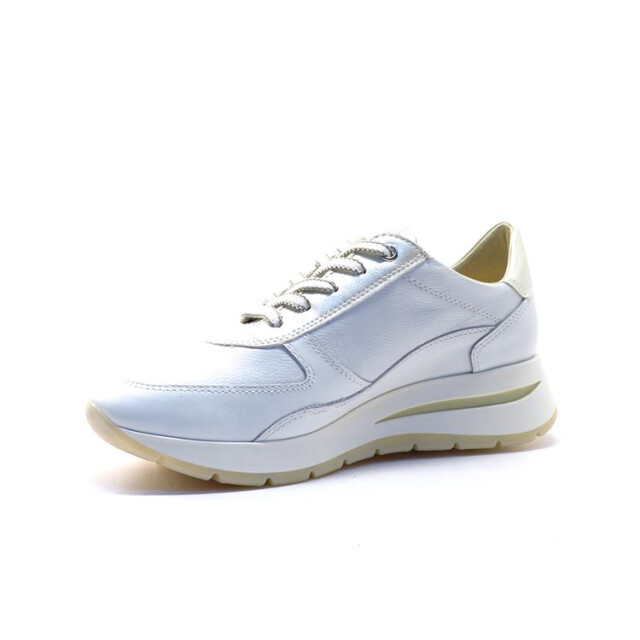 DL Sport 6547 6547 large