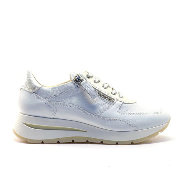 DL Sport 6547 6547 large