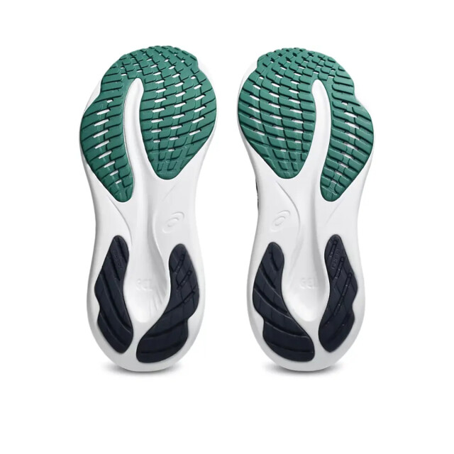 Asics Gel-pulse 16 136793 large