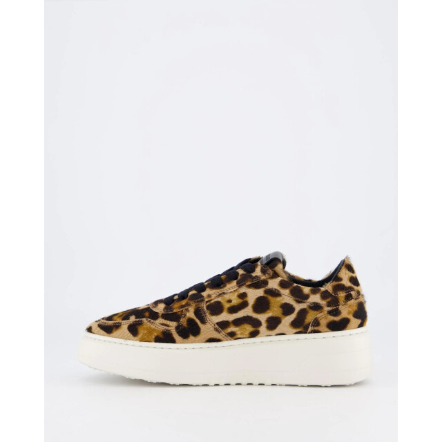 Copenhagen Dames cph77 sneaker CPH77-Leo large