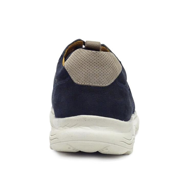 Berkelmans Sears Sears large