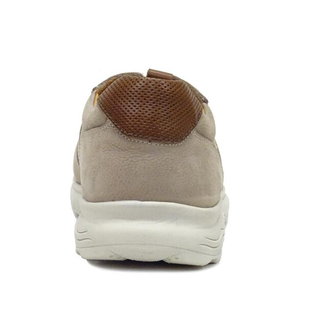 Berkelmans Sears Sears large