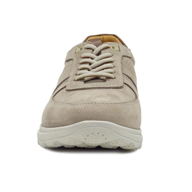 Berkelmans Sears Sears large