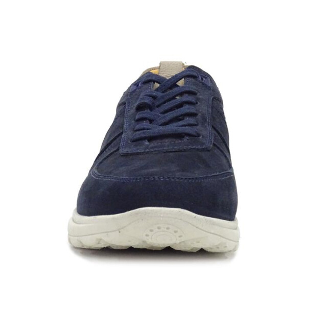 Berkelmans Sears Sears large