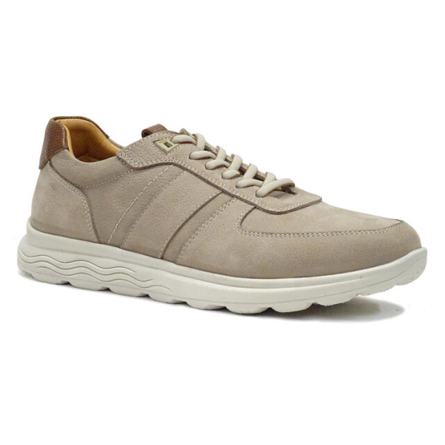 Berkelmans Sears Sears large