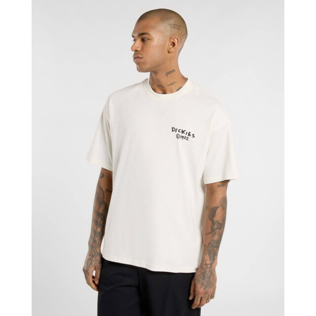Dickies T-shirt zonder mouw dk0a87qoc481 Dickies T-shirt korte mouw DK0A87QOC481 large
