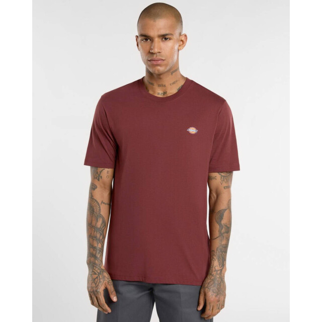 Dickies T-shirt korte mouw dk0a4xdbl161 Dickies T-shirt korte mouw DK0A4XDBL161 large