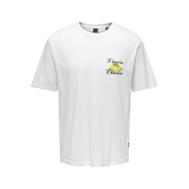 Only & Sons Onskeane rlx ss print tee noos off-white 5339.02.0020 large