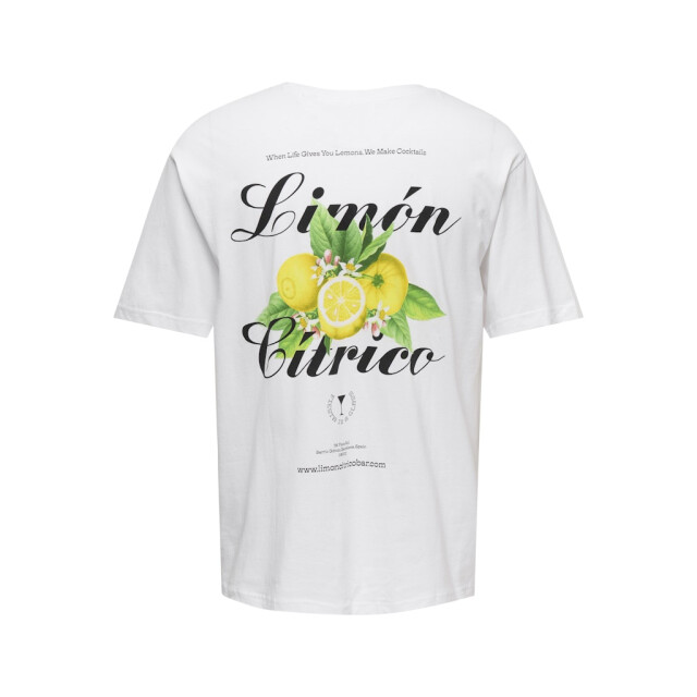 Only & Sons Onskeane rlx ss print tee noos off-white 5339.02.0020 large