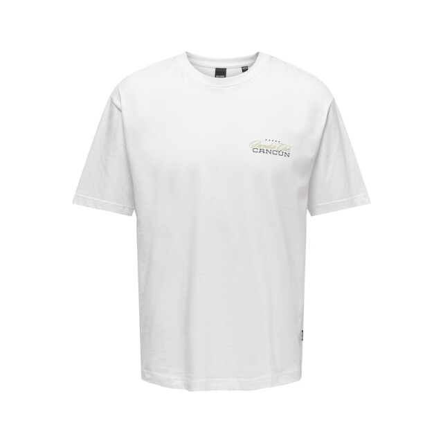 Only & Sons Onskeane rlx ss print tee noos off-white 5339.02.0021 large