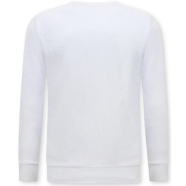 Top-Star Sweater icon trui 3060 large