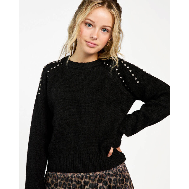 AI&KO Sweat levi pes 442 g Ai&Ko Pullover LEVI PES 442 G large
