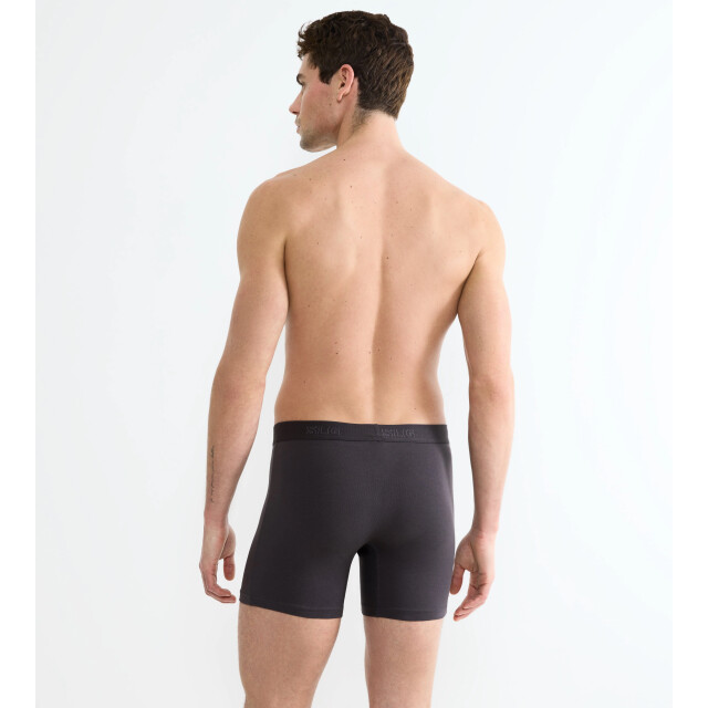 Sloggi Slg base short 2-pack 3828 charcoal Sloggi Men SLGBaseShort2 pack 10224737 3828Charcoal large