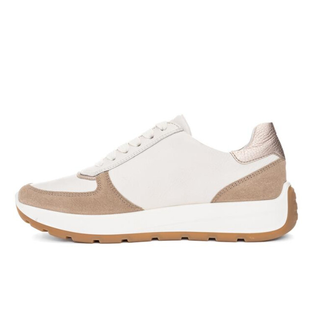 Ara 12-25112 new york 12-25112 New York large