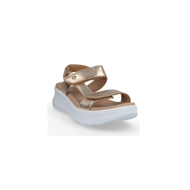 Panama Jack NOOR SHINE B1 Sandalen Goud NOOR SHINE B1 large