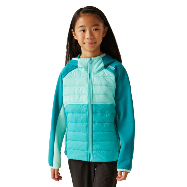 Regatta Kinder/kids kielder ix hybride jas UTRG11559_turquoisearubablueexoticplume large