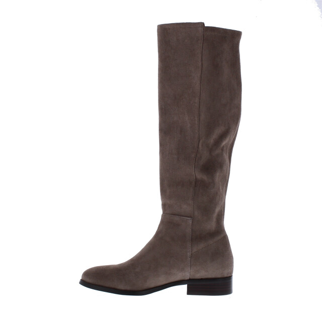 Di Lauro Janine dames laars | dames | maat: | suede 102728 large