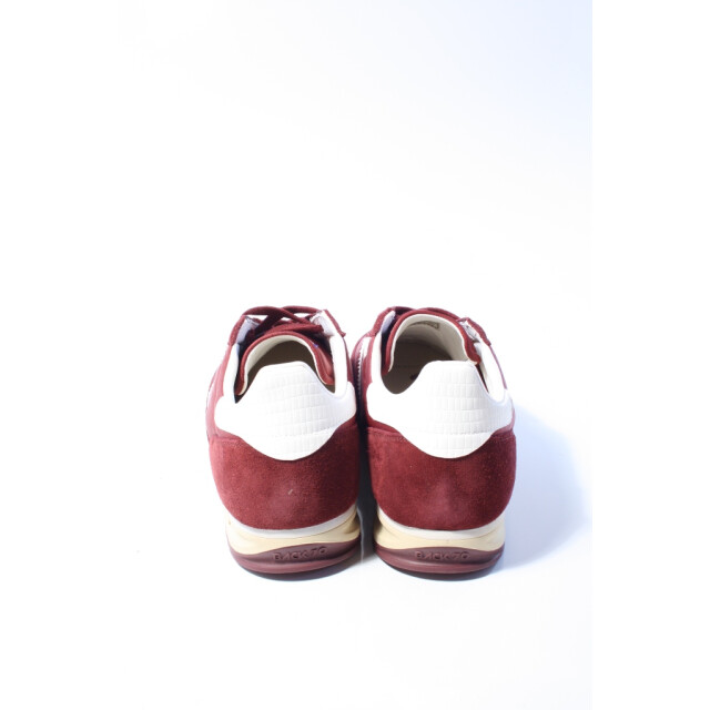 Back 70 Jogger fc32  Jogger FC32  large