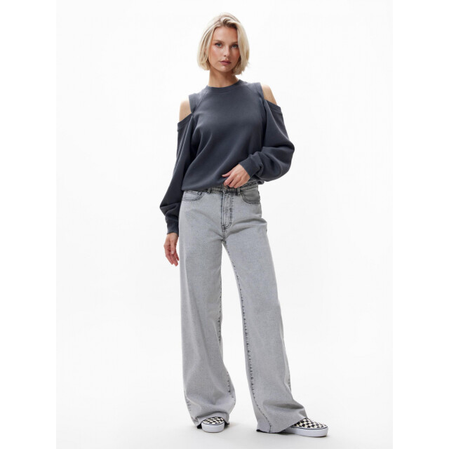 Catwalk Junkie Wide leg loose jeans grijs 2503023201 large