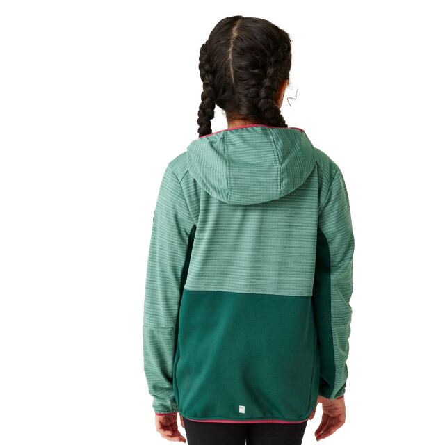 Regatta Kinder/kinder prenton iii jas UTRG11985_rainforestdustygreen large