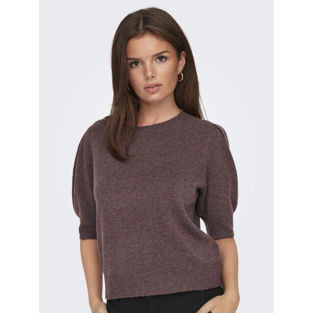 Only Onlrica life 24 pullover knt noos bordeaux 4219.47.0005 large Only Onlrica life 24 pullover knt noos bordeaux 4219.47.0005 large
