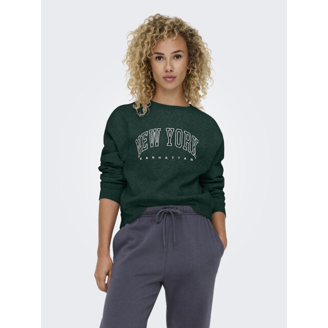Only Onlsweat life ls crew o.size state noos donker 4209.27.0002 large