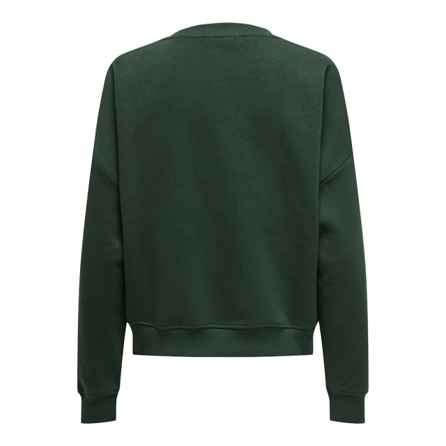 Only Onlsweat life ls crew o.size state noos donker 4209.27.0002 large