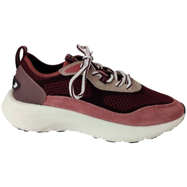 HOFF Traveler burgundy sneaker TRAVELER BURGUNDY large