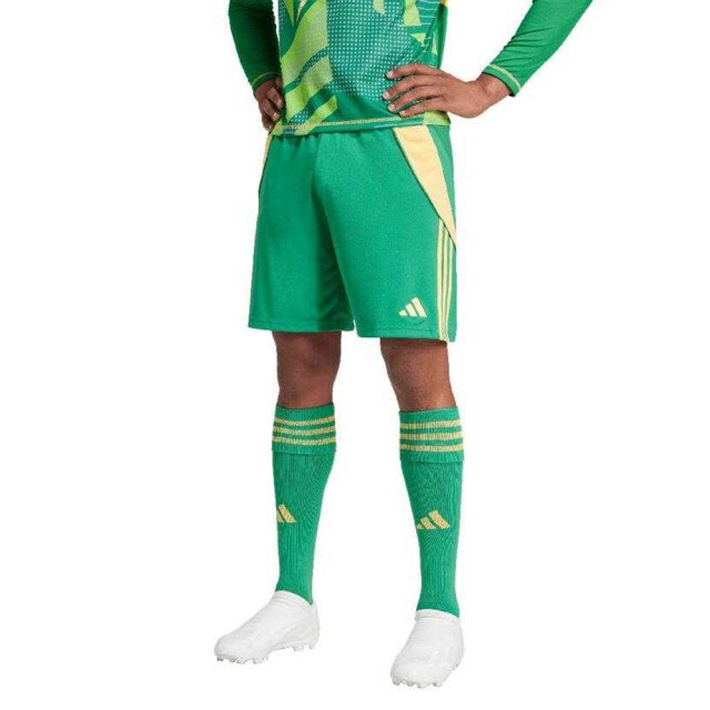 Adidas Heren tiro 24 korte broek UTPP5259_green large Adidas Heren tiro 24 korte broek UTPP5259_green large