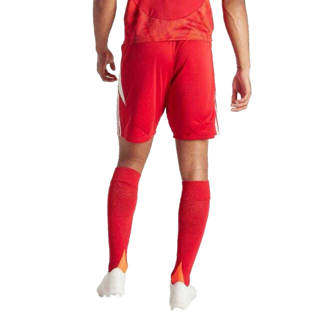 Adidas Heren tiro 24 korte broek UTPP5259_red large Adidas Heren tiro 24 korte broek UTPP5259_red large