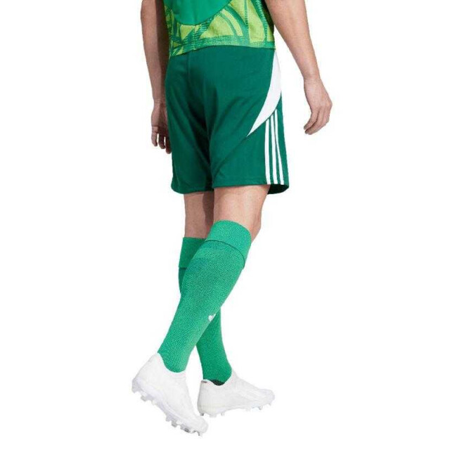 Adidas Heren tiro 24 korte broek UTPP5259_greenwhite large Adidas Heren tiro 24 korte broek UTPP5259_greenwhite large
