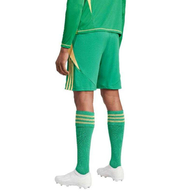 Adidas Heren tiro 24 korte broek UTPP5259_green large Adidas Heren tiro 24 korte broek UTPP5259_green large