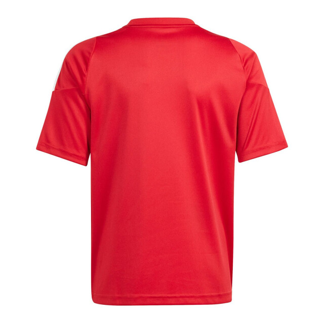 Adidas Kinderen/kinderen tiro 24 t-shirt UTPP4756_red large Adidas Kinderen/kinderen tiro 24 t-shirt UTPP4756_red large