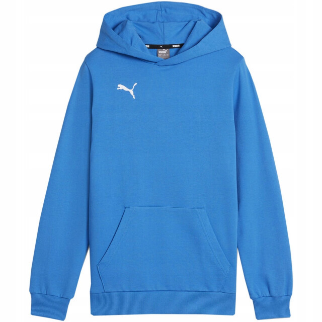 Puma Kinder/kids team goal casuals hoodie UTPP4643_blue large