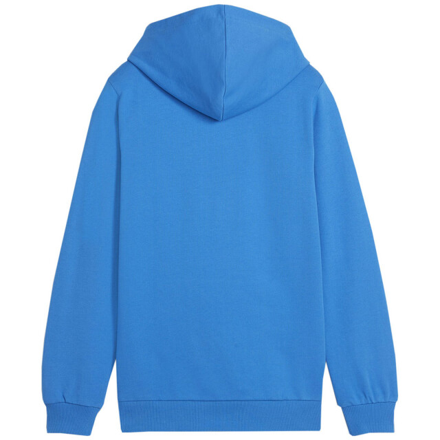 Puma Kinder/kids team goal casuals hoodie UTPP4643_blue large