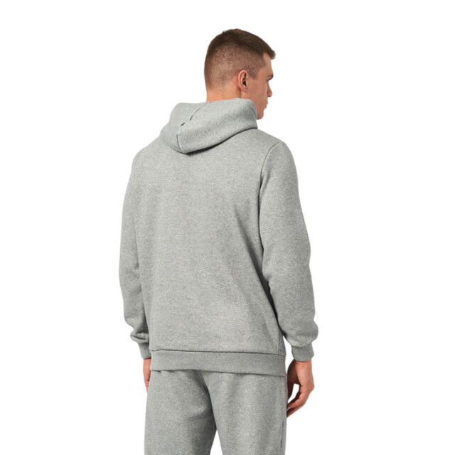Puma Dames ess+ lab gradient logo hoodie UTPP4202_greysilver large