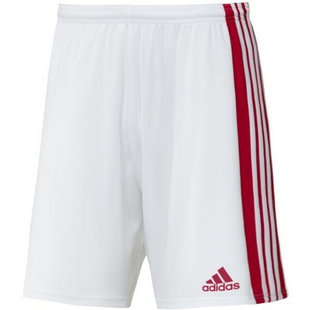 Adidas Heren squadra 21 korte broek UTPP4265_white large Adidas Heren squadra 21 korte broek UTPP4265_white large