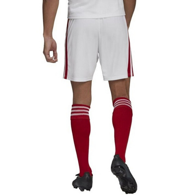 Adidas Heren squadra 21 korte broek UTPP4265_white large Adidas Heren squadra 21 korte broek UTPP4265_white large