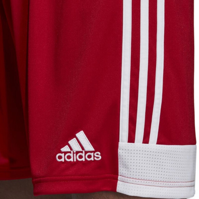 Adidas Heren tastigo 19 korte broek UTPP370_red large