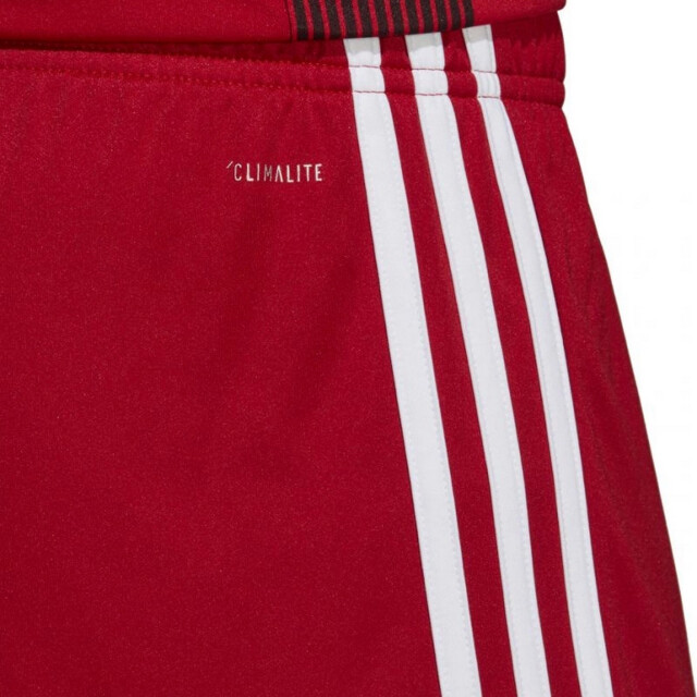 Adidas Heren tastigo 19 korte broek UTPP370_red large