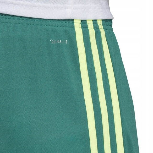 Adidas Heren tastigo 19 korte broek UTPP370_green large