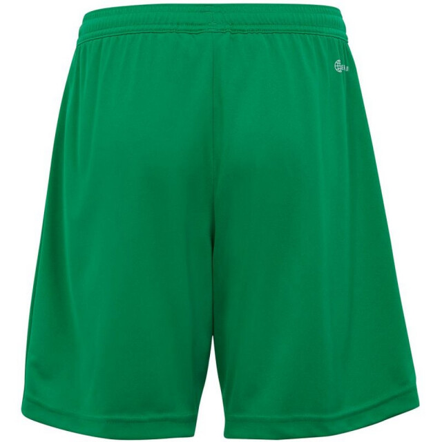 Adidas Kinderen/kinderen entrada 22 korte broek UTPP2284_green large