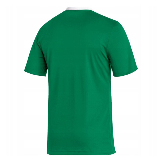Adidas Heren entrada 22 jersey UTPP2399_green large