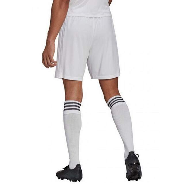 Adidas Heren squadra 21 korte broek UTPP2228_white large Adidas Heren squadra 21 korte broek UTPP2228_white large