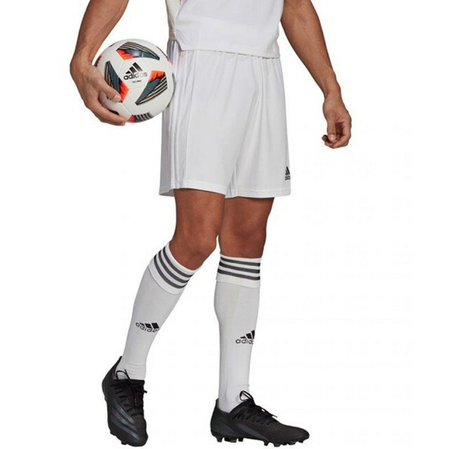 Adidas Heren squadra 21 korte broek UTPP2228_white large Adidas Heren squadra 21 korte broek UTPP2228_white large