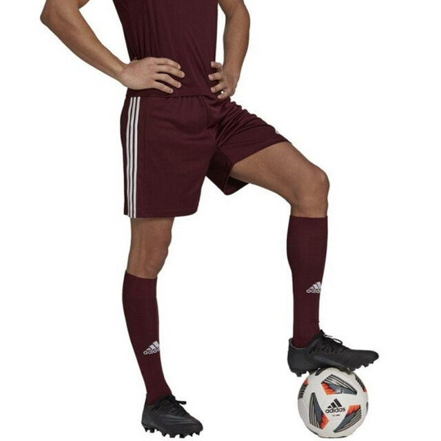 Adidas Heren squadra 21 korte broek UTPP2228_red large
